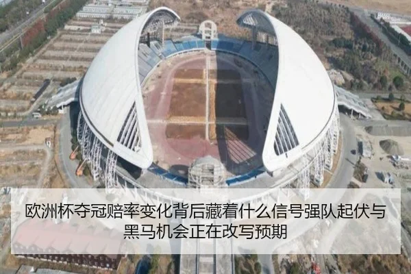 欧洲杯夺冠赔率变化背后藏着什么信号强队起伏与黑马机会正在改写预期